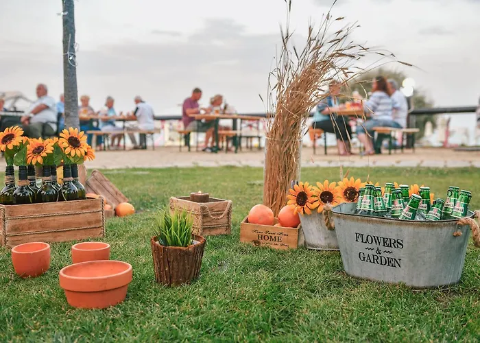 Grifid Metropol (adults Only) 4* Aranyhomok