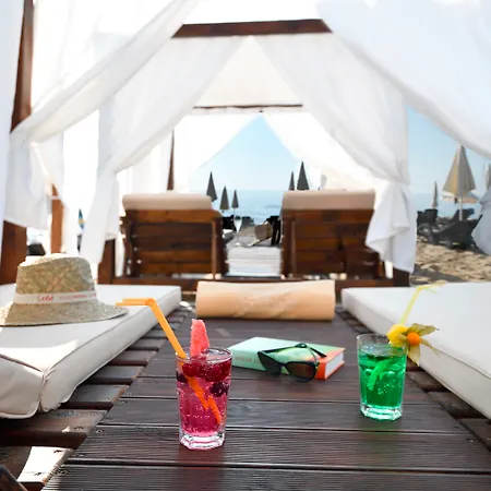 Grifid Metropol (adults Only) فندق غولدن ساندز