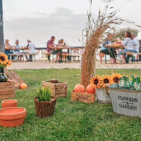 Grifid Metropol (adults Only) 4* Златни пясъци